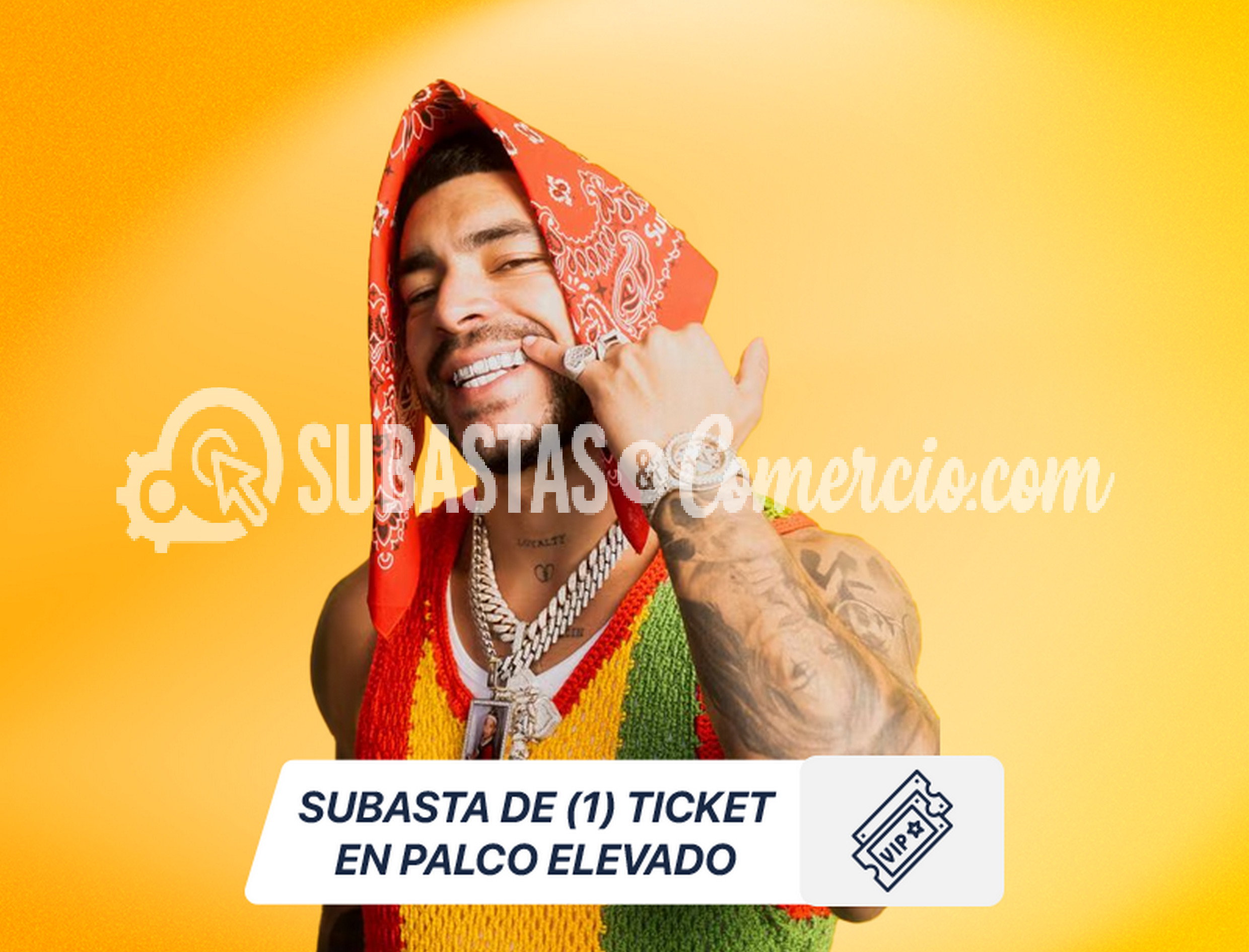  1 Ticket Palco Elevado Ryan Castro (Suite Subastalovers) 